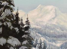 Neogrády László (1896-1962): Tátrai havas táj. Olaj, vászon, jelzett. Díszes, historizáló stílusú sé...