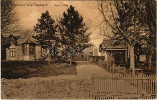 1918 Tata, Tata-Tóváros; Tóparti villák. Lindenberg Adolf kiadása (EK)