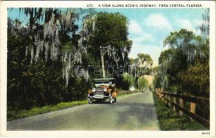 Florida, a viwe along scenic highway, automobile