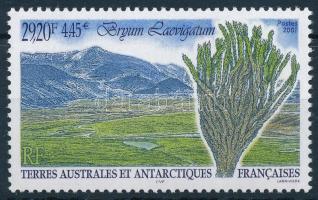 2001 Az Antarktisz növényei bélyeg Mi 457
