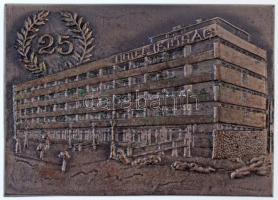 1989. Hotel Ifjúság 25 / Elismerésül a szálló fennállásának 25. évfordulóján 1964-1989 kétoldalas fém plakett, hátoldalon névre szóló gravírozás, eredeti viseltes tokban (70x100mm) T:1-