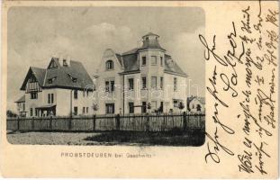 1907 Probstdeuben (Großdeuben), Herrenhaus / mansion, manor house (fl)