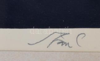 Szász Endre (1926-2003): Írástudó törpék. Szitanyomat, papír, jelzett, üvegezett fa keretben. 47x66 ...