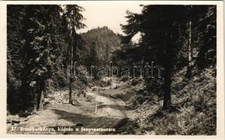 Erzsébetbánya, Baiut (Magyarlápos, Targu Lupus); kilátás a Fenyves-csúcsra / road, mountain peak, forest