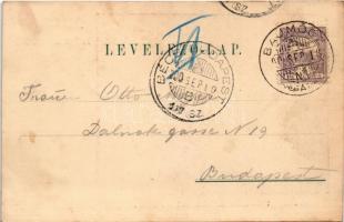 1900 Nyitrafenyves, Chvojnicairtvány, Fenyves-Chvojnicza, Chvojnica; Gyermekjáték-tanműhely / indust...