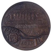 1977. "Színjátszó csoportok és irodalmi színpadok Néphadsereg Fesztiválja 1977 - Eger" öntött Br emlékérem (112mm) T:2,2-