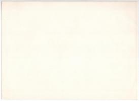 Debrecen 1940. " 'Takarékosság' Kereskedelmi Részvénytársaság" bemutatóra szóló ...