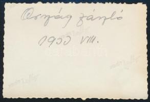 1930 "Szebb jövőt!" - Országzászló, hátoldalon feliratozott fotó, 9×6 cm