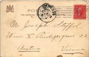 1903 Ladies. Raphael Tuck & Sons' "Art" Postcard Series 835/1. litho (EK)