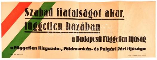 1945 Szabad fiatalságot akar, független hazában a Budapesti Független Ifjúság. A Független Kisgazda-, Földmunkás- és Polgári Párt ifjúsága. Plakát trikolórral. Hajtásnyommal, 21x60 cm