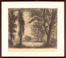 Élesdy István (1912-1987): Folyópart. Rézkarc, papír, jelzett, paszpartuban. Üvegezett, sérült keret...