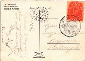 Lillafüred-Budapest, Északkelet Magyarország térképe / map of northeastern Hungary s: M. Coreth + &q...