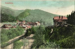 1909 Fenyőháza, Lubochna; látkép, nyaralók. Nagy József kiadása / general view, villas (fl)