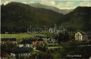 1911 Fenyőháza, Lubochna; látkép, nyaralók. Holczmann Izidor kiadása / general view, villas (EK)