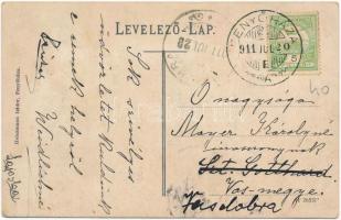 1911 Fenyőháza, Lubochna; látkép, nyaralók. Holczmann Izidor kiadása / general view, villas (EK)