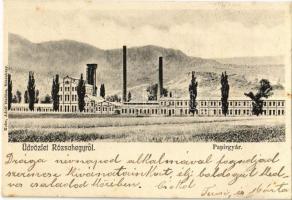 1905 Rózsahegy, Liptó-Rózsahegy, Ruzomberok; Papírgyár. Kohn Adolf kiadása / paper mill, factory (fl)