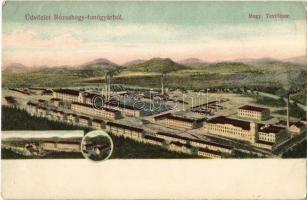 Rózsahegy, Ruzomberok; Magyar Textilipar rt. fonógyára / spinning mill of the Hungarian Textile Industry, factory (EK)
