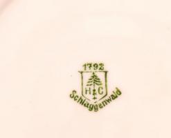 Haas & Czjczek 6 személyes étkészlet. Komplett. Részben kézzel festett, jelzett, minimális kopás...