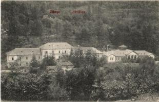 1909 Vihnye, Vyhnye; fürdőház. Joerges A. kiadása / spa, bath