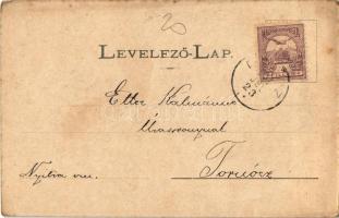 1901 Rozsnyó, Roznava; fürdő / spa, bath (EB)