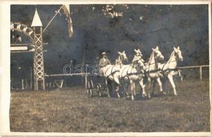 Bábolna, M. kir. állami ménes, ötösfogat. photo