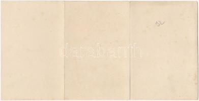 Budapest V. Szabadság tér, Osztrák-Magyar Bank. Schwarcz kiadása. kihajtható 3-részes panorámalap (n...