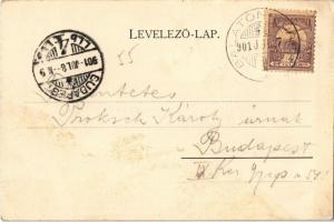 1901 Balatonfüred, Balaton-part, gőzhajó. Grüner Simon kiadása. Erdélyi cs. és kir. udvari fényképés...