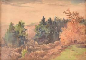 Jelzés nélkül: Őszi dombos táj. Akvarell, papír. Üvegezett fa keretben, 36×51 cm