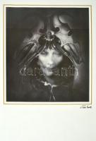 Szász Endre (1926-2003): Női arc Ofszet, papír. Jelzett a nyomaton 52x48 cm