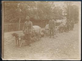 cca 1914-1918 Hunde-Munitions Kolonne in Wolhynien, hátoldalon feliratozott fotó, kisebb szakadásokkal, 9×12 cm
