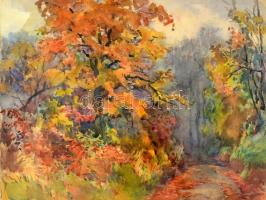 Jelzés nélkül: Őszi lombok. Akvarell, papír. Díszes, sérült üvegezett fa keretben. 25×32 cm