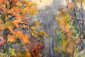 Jelzés nélkül: Őszi lombok. Akvarell, papír. Díszes, sérült üvegezett fa keretben. 25×32 cm