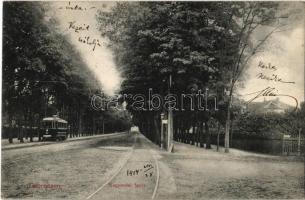1914 Debrecen, Nagyerdei fasor, villamos. ifj. Gyürky Sándor 101-1912.