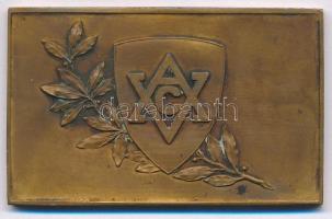 ~1906. "Vívó és Atletikai Club (VAC) 1906." kétoldalas Br plakett (35x56mm) T:2 patina