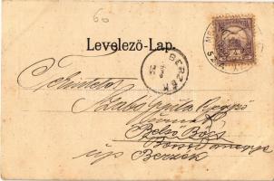 1901 Laborcrév, Krasznibród, Krásny Brod (Mezőlaborc, Mező-Laborcz, Medzilaborce); Wollmann lak, kas...
