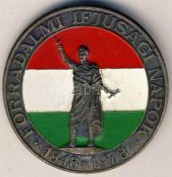 1978. "Forradalmi Ifjúsági Napok" zománcozott kitűző + DN "A vegyipari fejlesztésért" zománcozott szocialista kitűző T:2