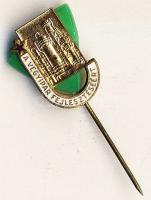 1978. "Forradalmi Ifjúsági Napok" zománcozott kitűző + DN "A vegyipari fejlesztésért&...