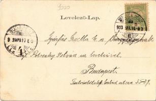 1903 Sepsiszentgyörgy, Sfantu Gheorghe; Kossuth Lajos utca, üzletek. Szecessziós virágos litho keret...