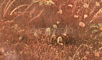 Jelzés nélkül: Napernyős hölgy. Olaj, vászon. Díszes, reprezentatív fa keretben, 60×50 cm