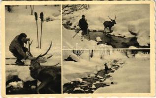 Volóc, Volovec, Volovets; Sí és vadászterepek a Borzsovai havasokon, síelők szarvast simogatnak, tél / ski and hunting fields in winter, skiers caressing a deer (EK)