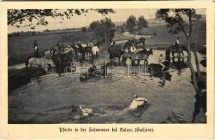 Kalush, Kalusz (Galizien); Pferde in der Schwemme. Feldpost Wohlfahrts-Postkarte Nr. 59. / WWI K.u.k. military, horses bathing (EK)
