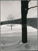 Kálmán Kata: Tél, hátoldalon feliratozott fotó, 23,5×17,5 cm