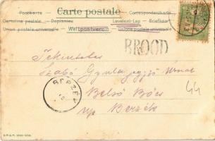 1904 Brod, Bosanski Brod; Vatrogasni dom / fire station. Art Nouveau, floral, litho frame (EB)