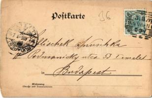 1901 Wien, Vienna, Bécs XI. Simmering, Maschinen- und Waggonbau-Fabriks-Actien-Gesellschaft. Simmeri...