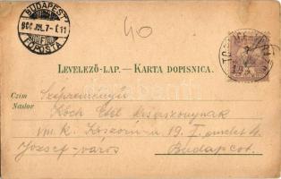 1900 Varasdfürdő, Warasdin-Töplitz, Varazdinske Toplice (Varasd, Varazdin); park bejárat, gyógyfürdő...