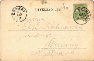 1902 Nezsider, Neusiedl am See; Fő utca. J. Horváth kiadása / main street (EM)