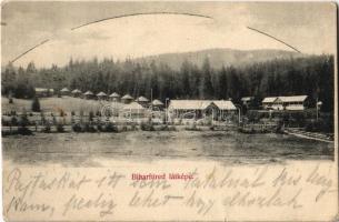 1907 Biharfüred, Stana de Vale, Stina de Vale; látkép / general view (fa)