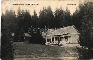 1907 Biharfüred, Stana de Vale, Stina de Vale; Mária lak. Helyfi László kiadása / villa (fa)