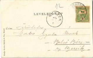 1905 Brassó, Kronstadt, Brasov; Fellegvársor, villák. Kovács Miklós és Társa kiadása / Schlossbergze...