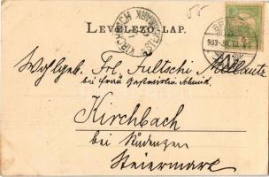 1903 Brassó, Kronstadt, Brasov; Concerthaus / Városi vigadó, Victor Róth gyógyszertára, piaci árusok...